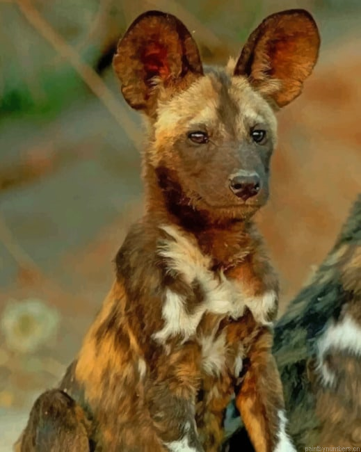 African Wild Dog Animals Painting By Numberss.png
