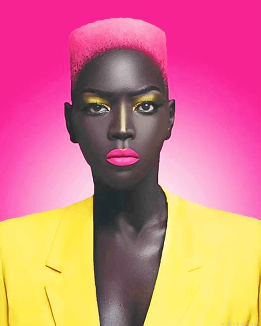 African Women With Pink Hair Painting By Numbers.png