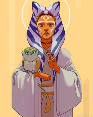 Ahsoka Tano Holding An Owl Painting By Numbers.png