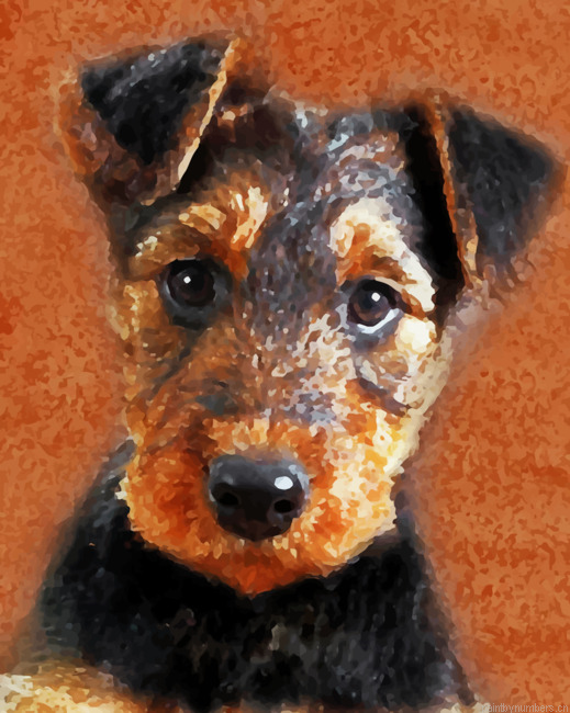 Airedale Terrier Puppy Painting By Numbers.png