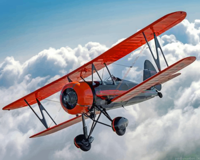 Airplane Painting By Numbers.png