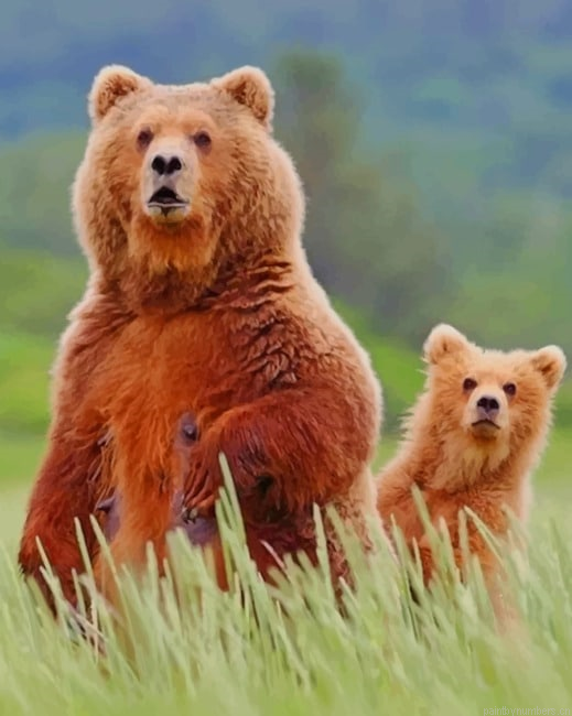 Alaska Brown Bear And Cub Animals Painting By Numberss.png