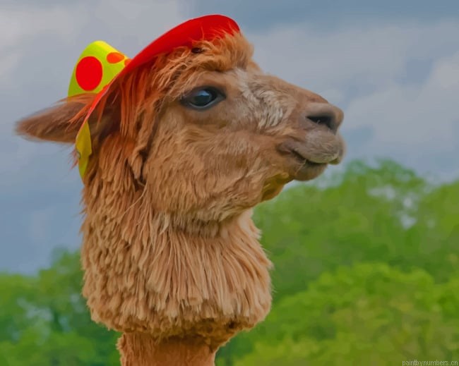 Alpaca Domesticated Llamas Animals Painting By Numberss.png
