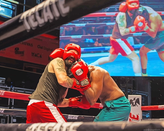 Amateur Boxing Painting By Numberss.png