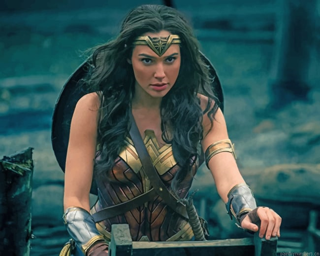 Amazing Wonder Woman Movies Painting By Numberss.png