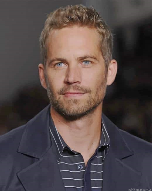 American Actor Paul Walker Painting By Numberss.png
