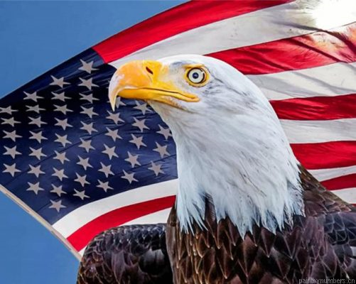 American Eagle Painting By Numbers.png