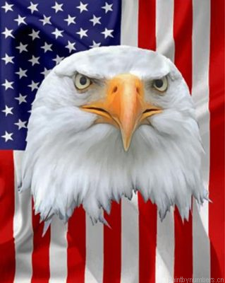 American Flag And Eagle Painting By Numbers.png