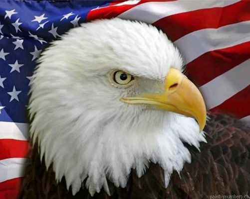 American Flag Eagle Bird Painting By Numbers.png