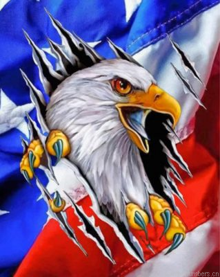 American Flag Eagle Painting By Numbers.png