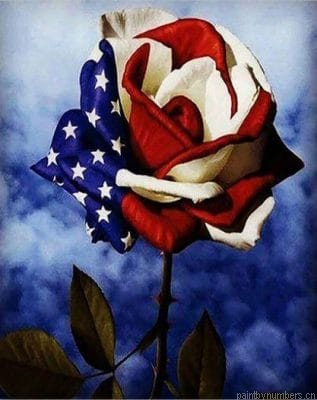 American Flag Rose Painting By Numberss.png