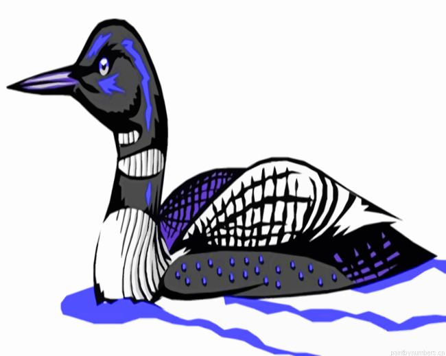 American Loon Painting By Numbers.png