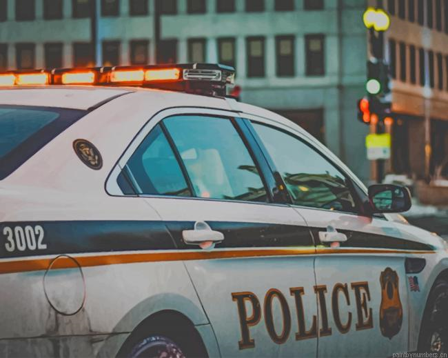 American Police Car Painting By Numbers.png