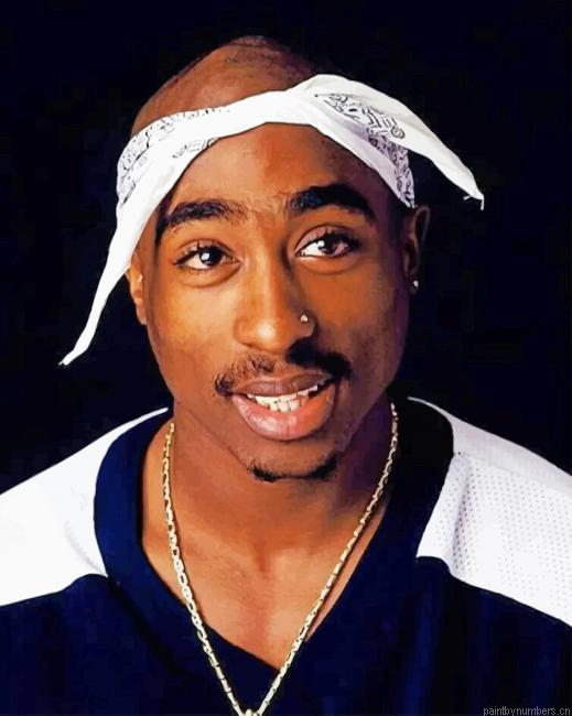American Rapper Tupac Shakur Painting By Numbers.png