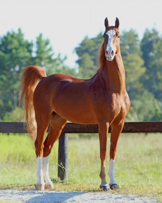American Saddlebred Horse Animals Painting By Numberss.png