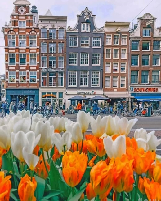Amsterdam Buildings Cities Painting By Numberss.png