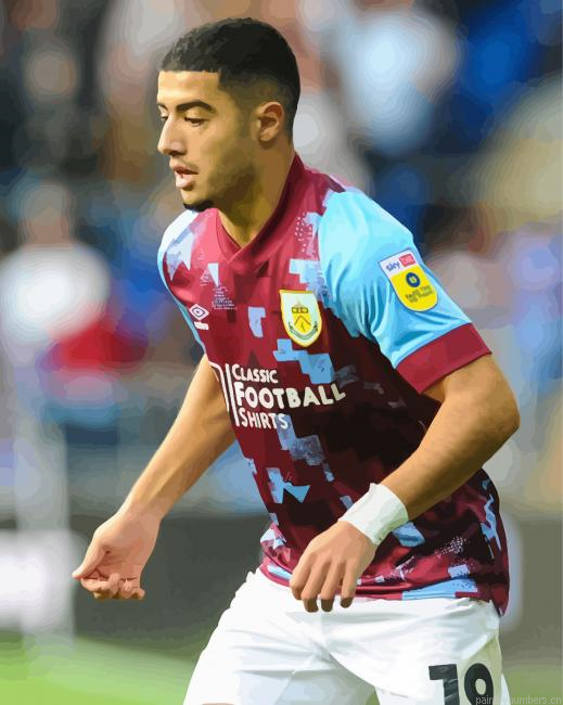 Anass Zaroury Burnley Painting By Numberss.png