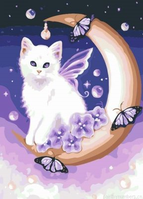 Angel Cat Painting By Numbers.png