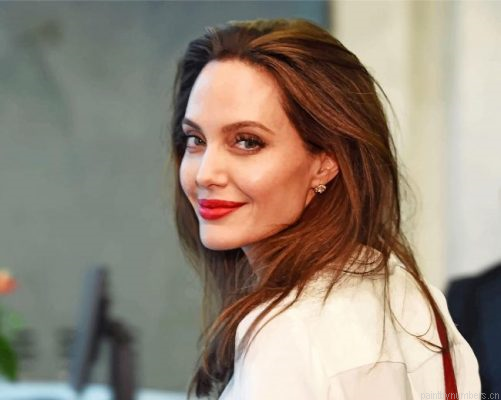 Angelina Jolie Painting By Numbers.png