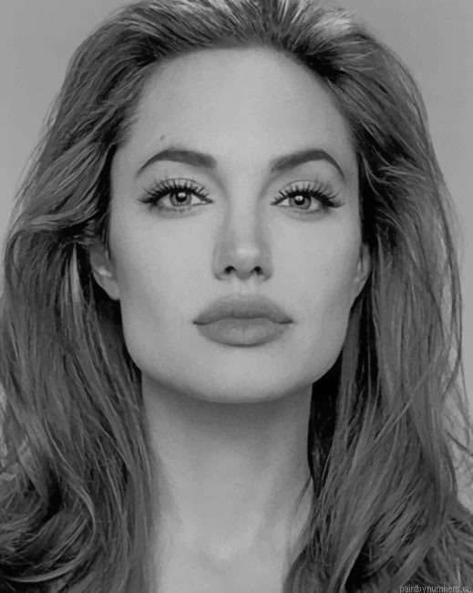 Angelina Jolie Portrait Actors Painting By Numberss.png