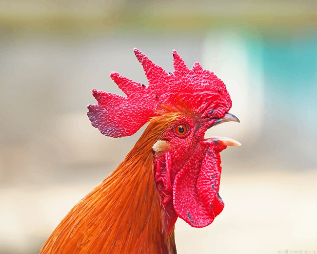 Angry Rooster Birds Painting By Numberss.png