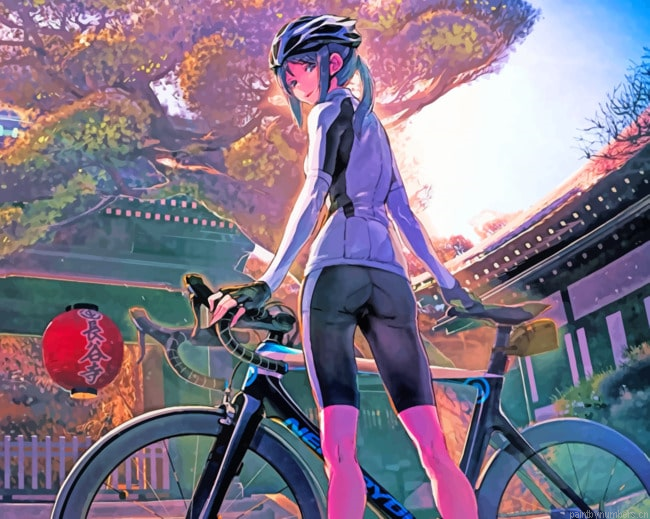 Anime Girl With Bicycle Painting By Numberss.png