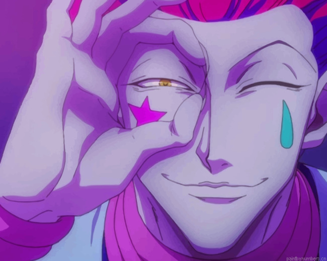 Anime Hunter X Hunter Hisuka Painting By Numberss.png