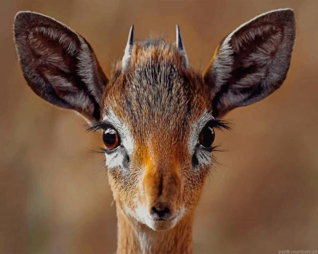 Antelope Animal Painting By Numberss.png