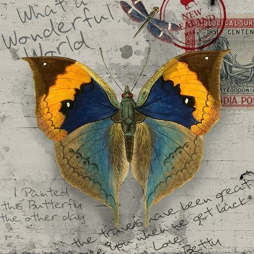 Antique Butterfly Insects Painting By Numberss.png