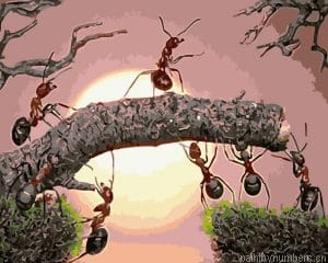 Ants On Tree Insects Painting By Numberss.png