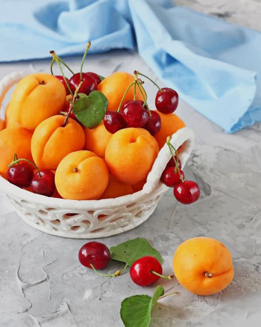 Apricot And Cherry Fruits Food Painting By Numbers.png