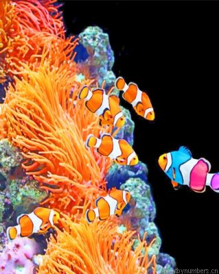 Aquarium Clownfish Painting By Numbers.png