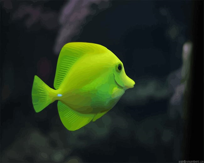 Aquarium Green Fish Painting By Numbers.png