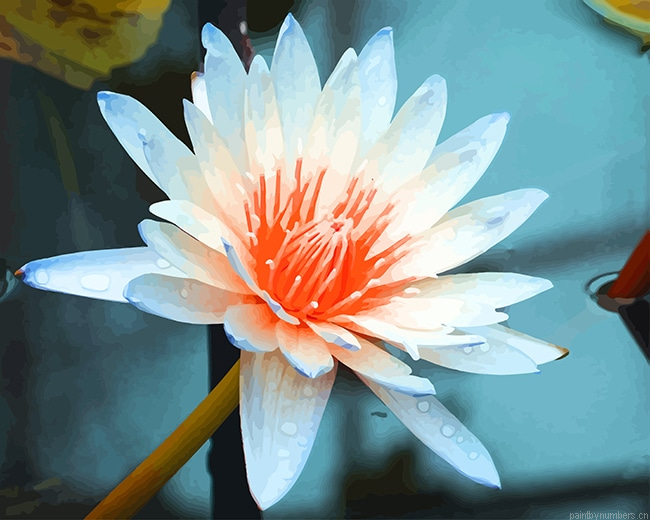 Aquatic Flower Painting By Numberss.png