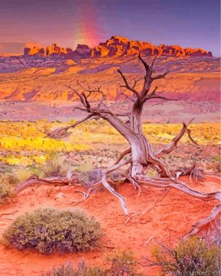 Arches National Park Desert Painting By Numbers.png