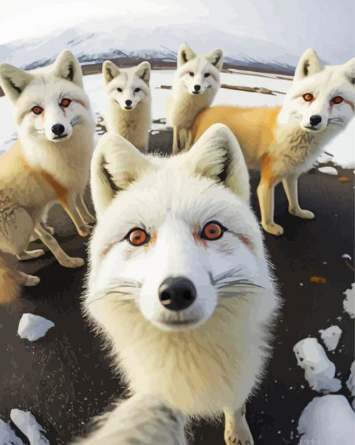 Arctic Foxes Painting By Numberss.png