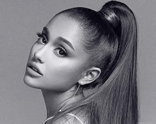 Ariana Grande Black And White Singers Painting By Numbers.png