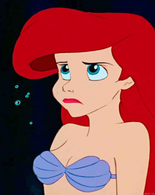 Ariel Little Mermaid Animations Painting By Numberss.png