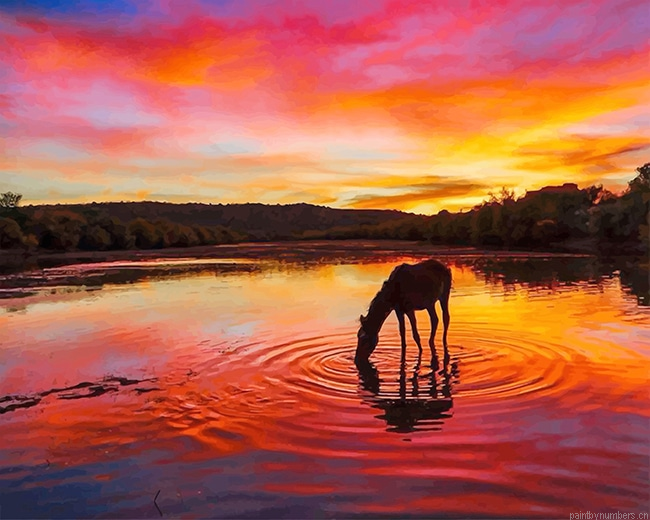 Arizona Horse Sunset Painting By Numberss.png