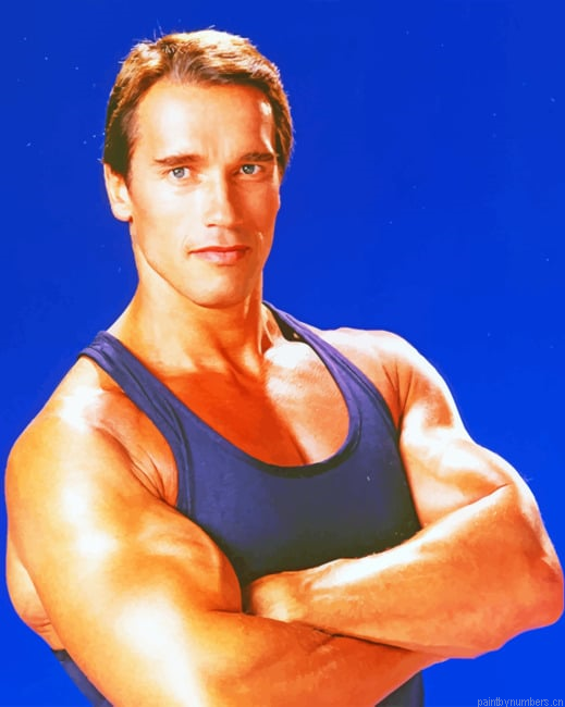 Arnold Schwarzenegger Actors Painting By Numberss.png