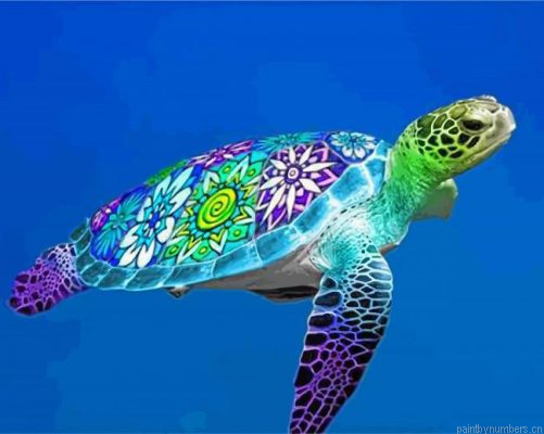 Artistic Sea Turtle Painting By Numbers.png
