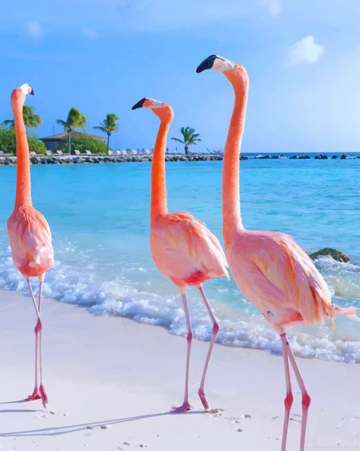 Aruba Flamingos Birds Painting By Numberss.png
