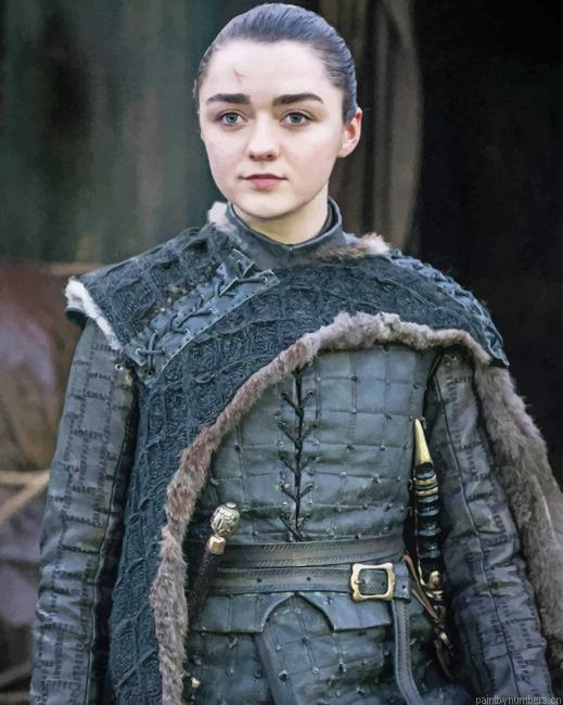 Arya Stark Got Actors Painting By Numbers.png