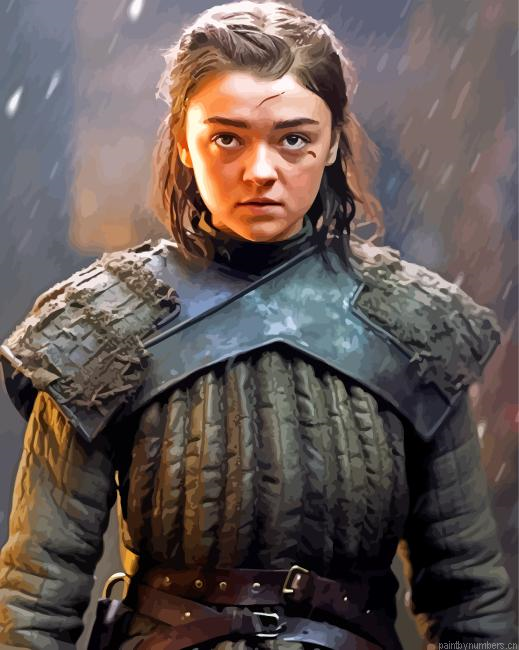 Arya Stark Got Painting By Numberss.png