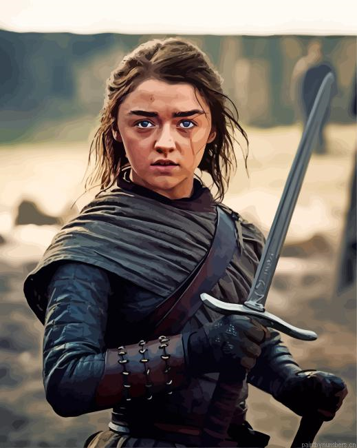 Arya Stark Painting By Numberss.png