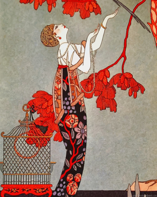 Asian Woman Illustration Painting By Numbers.png