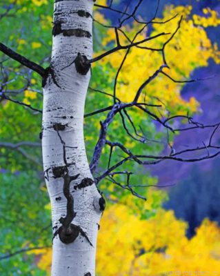 Aspen Tree Painting By Numbers.png
