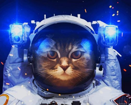 Astronaut Cat Painting By Numberss.png