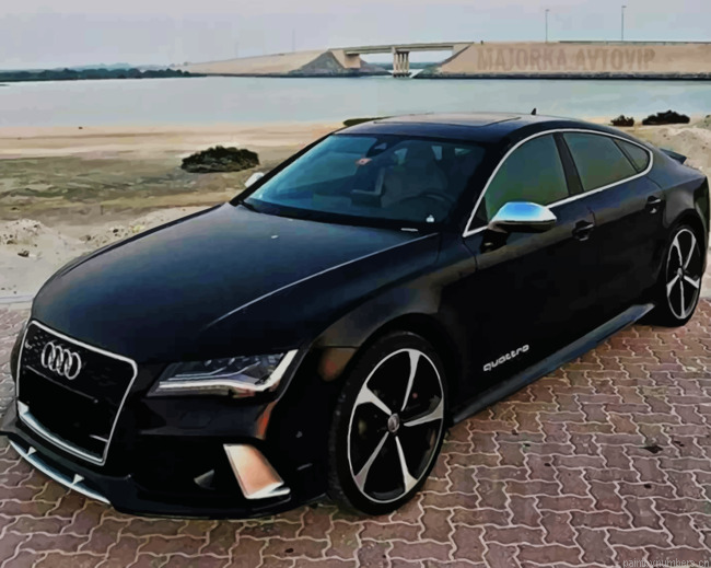 Audi Sport Car Painting By Numberss.png