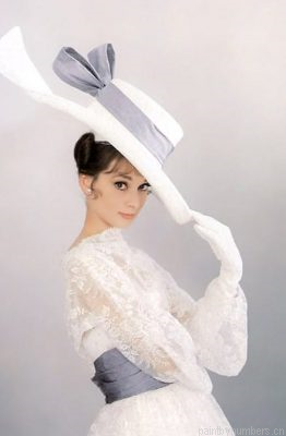 Audrey Hepburn In A White Hat Painting By Numbers.png